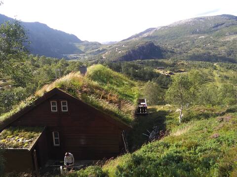 A cosy cabin with a great view