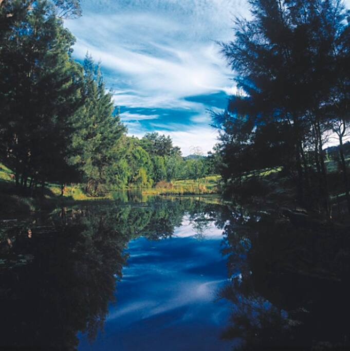 Walk along the creek banks with a cheese platter and enjoy a picnic waterside