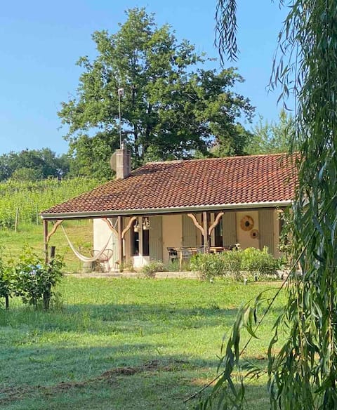 The Escape from the Vines