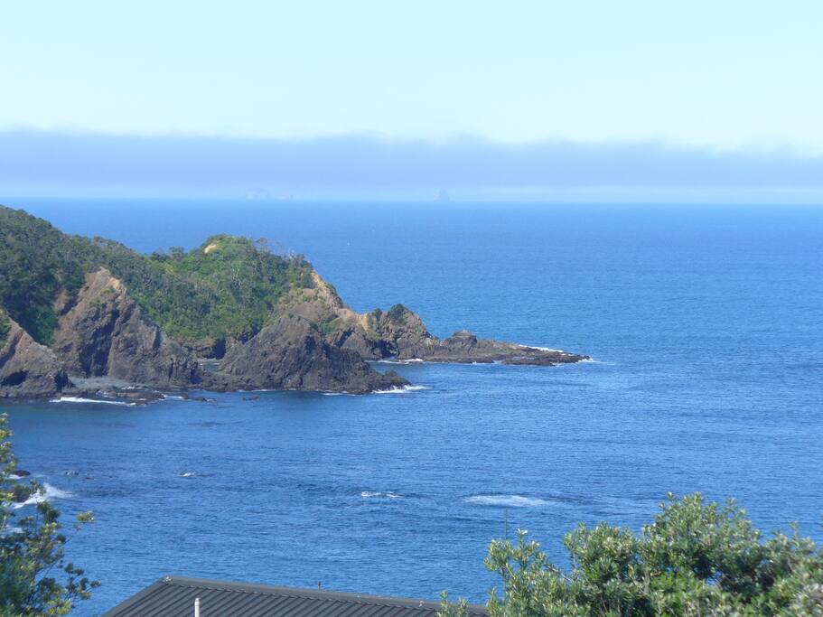 Dolphin Bay
