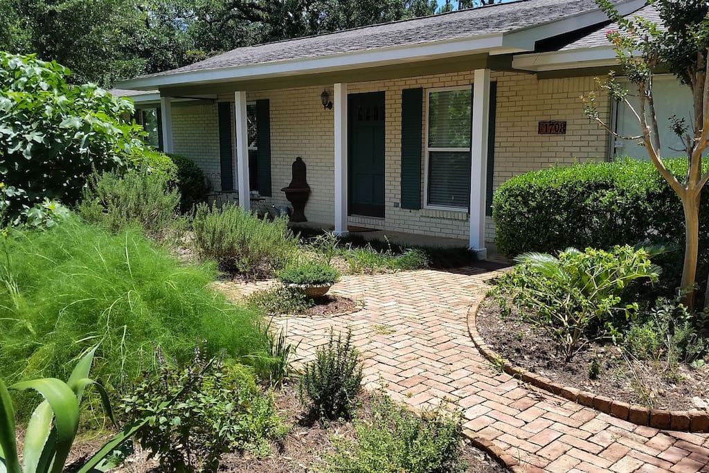 June 12. No need to go further than the front patio for rosemary, fennel, thyme, tarragon, and two kinds of basil. The first figs on the tree to the left were ripe today. Delicious!