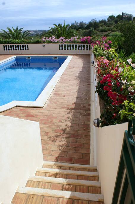 Pool surrounded by flowers