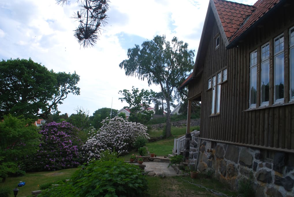 Trädgård