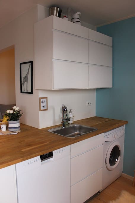 Dishwasher and washing machine/ Oppvaskmaskin og vaskemaskin