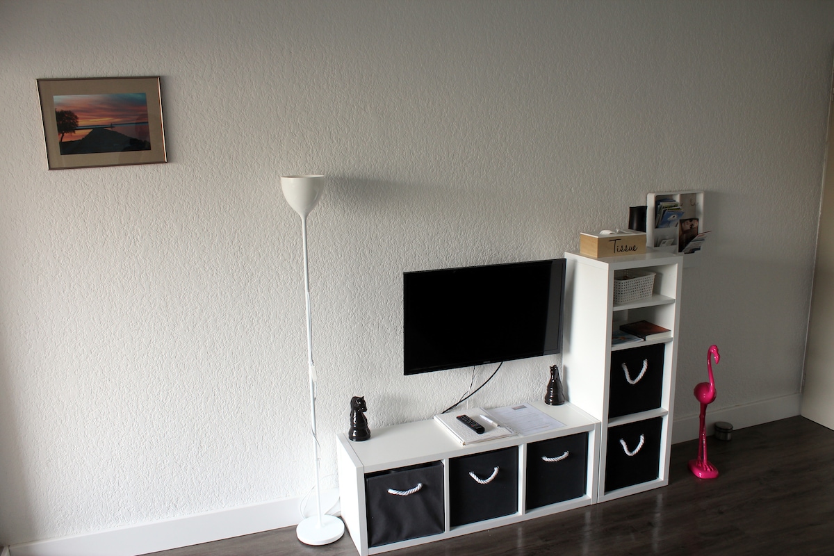 80厘米平板高清电视、无线网络、我们为您准备的旅游办公室的小册子。