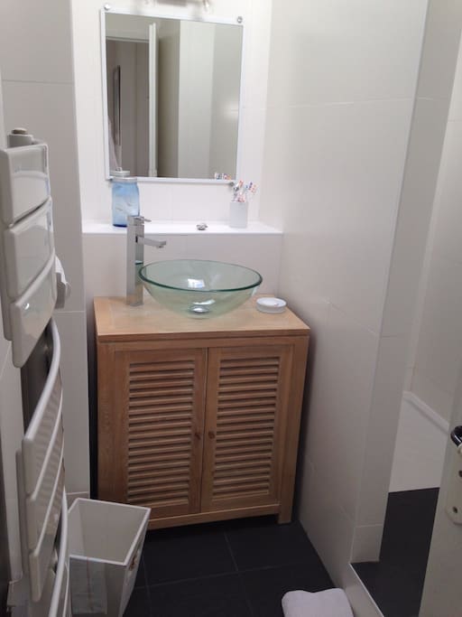 Salle d'eau (douche et lavabo)