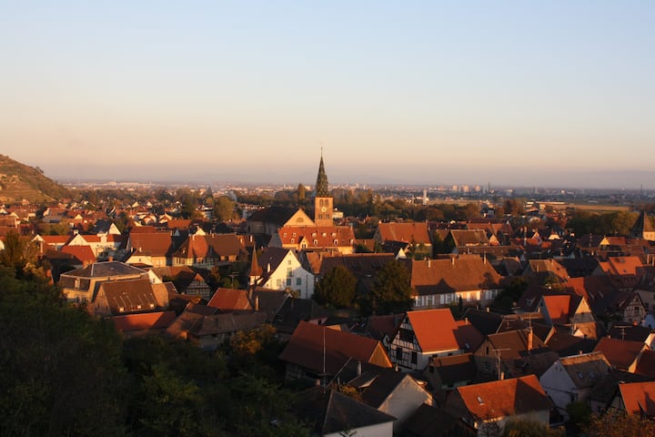 In the heart of the Alsatian vineyard, air-conditioned room