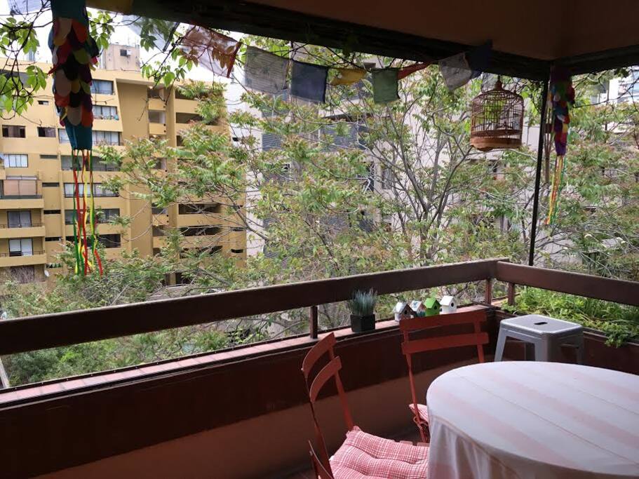 Terrace