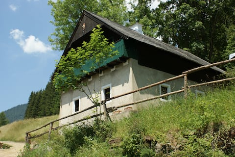 Geiereckalm (Trendleralm)