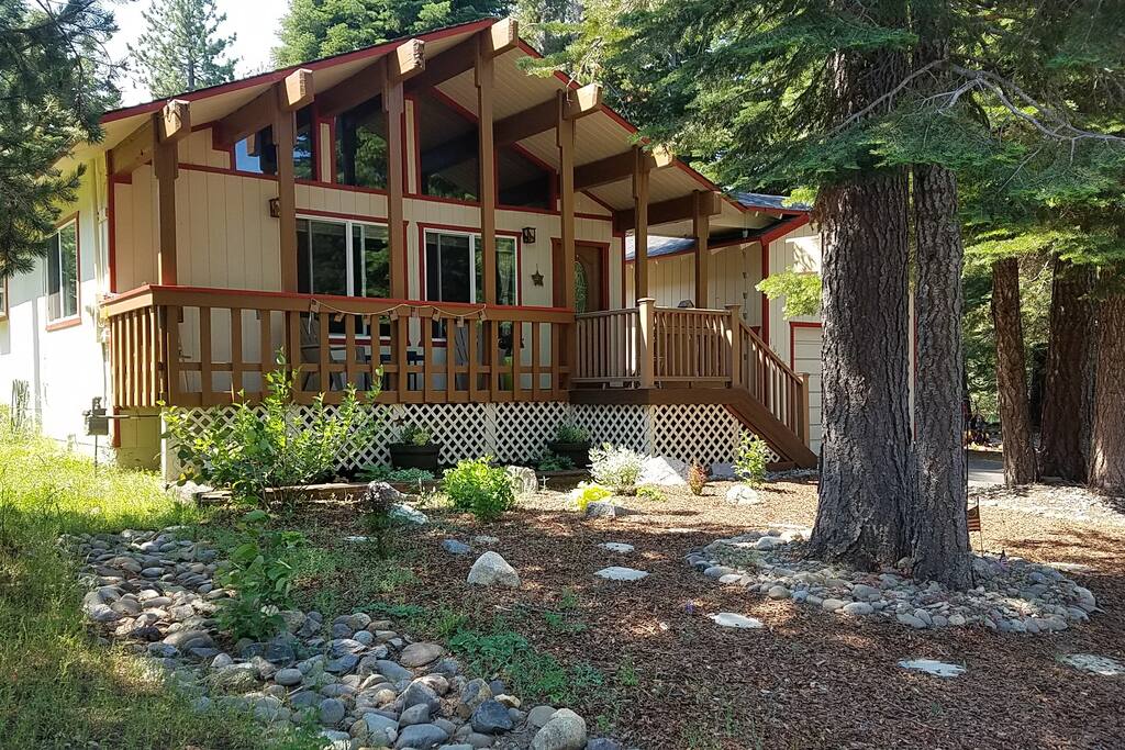 Front yard