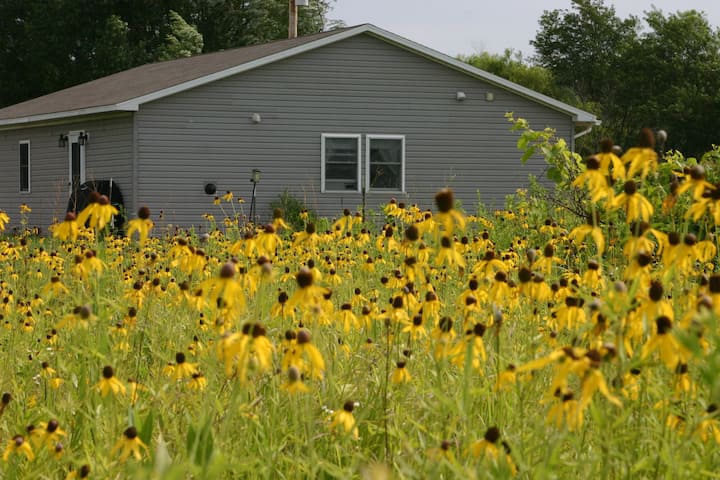 Peace on the Prairie - Studio Apartment