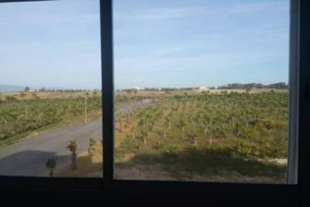 Vue de l'appartement