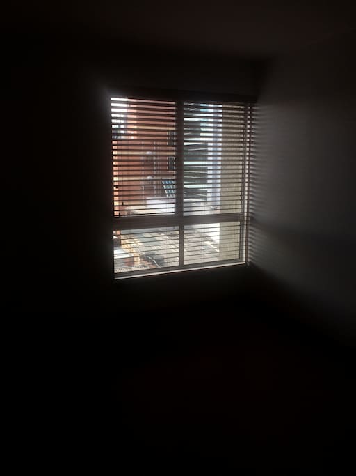 window with blinds
