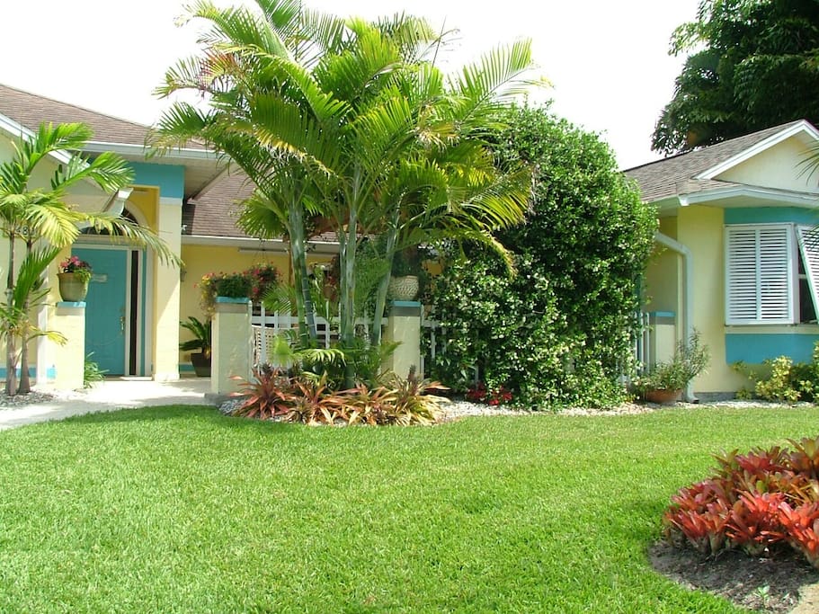 Palm trees and front lawn and garden