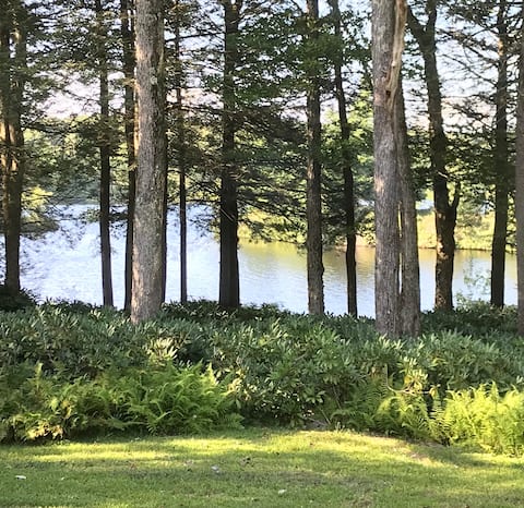 Knotty Pine Lodge - Lakefront + Private Dock