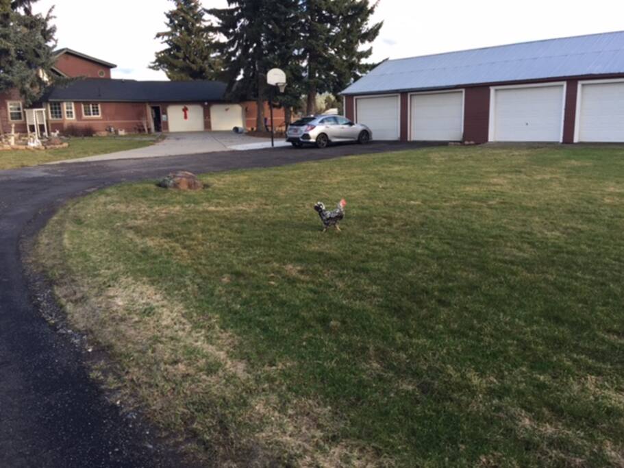 otis orchards chat rooms 24304 e dalke ave, otis orchards, wa is a 2148 sq ft, 3 bed, 2 bath home listed on trulia for $279,500 in otis orchards, washington. otis orchards chat rooms 24304 e dalke ave, otis orchards, wa is a 2148 sq ft, 3 bed, 2 bath home listed on trulia for $279,500 in otis orchards, washington.