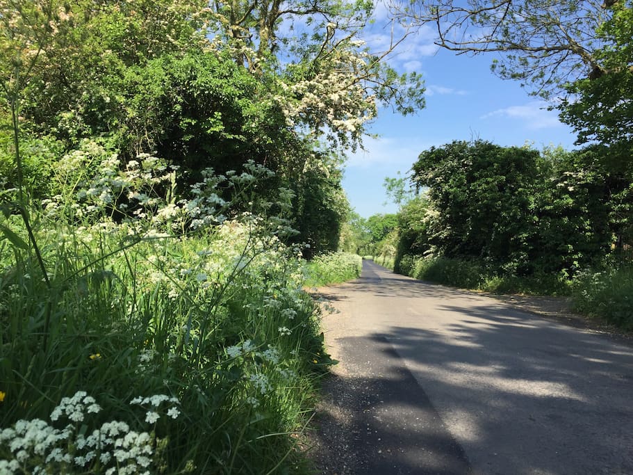 The lane approach