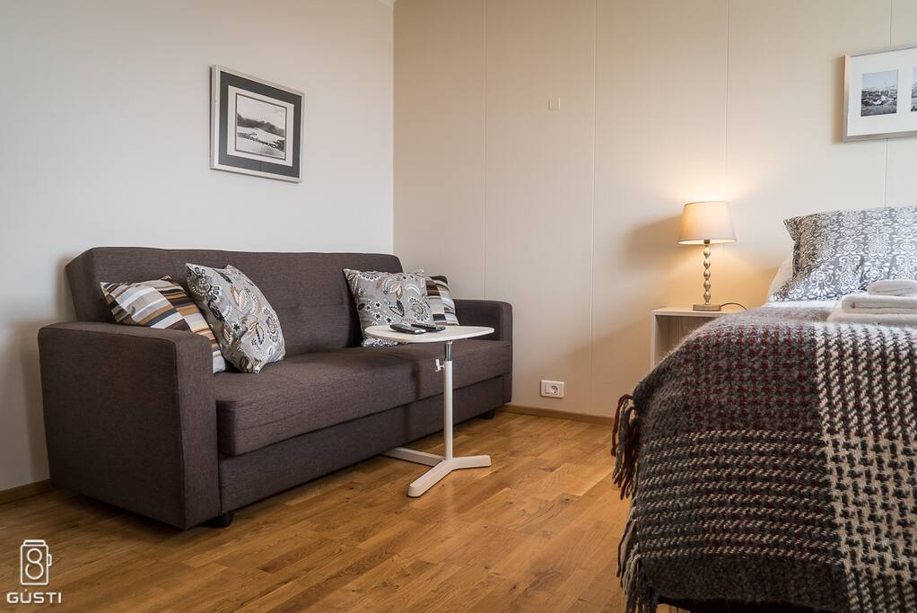 Comfortable sofa facing large windows with a view of the garden.