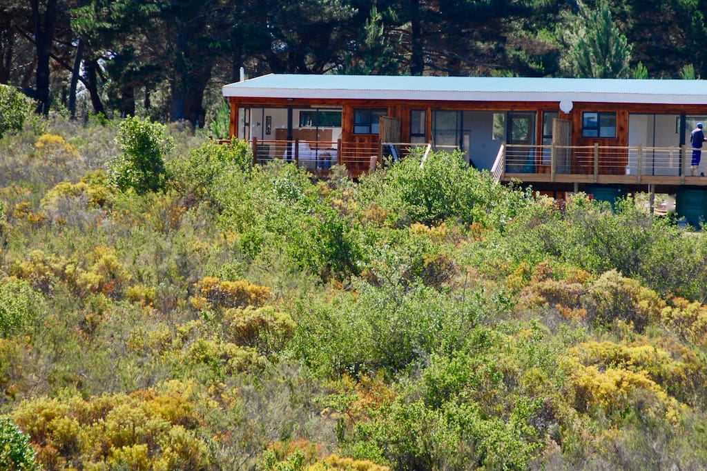 The whole cottage is yours, privacy, style