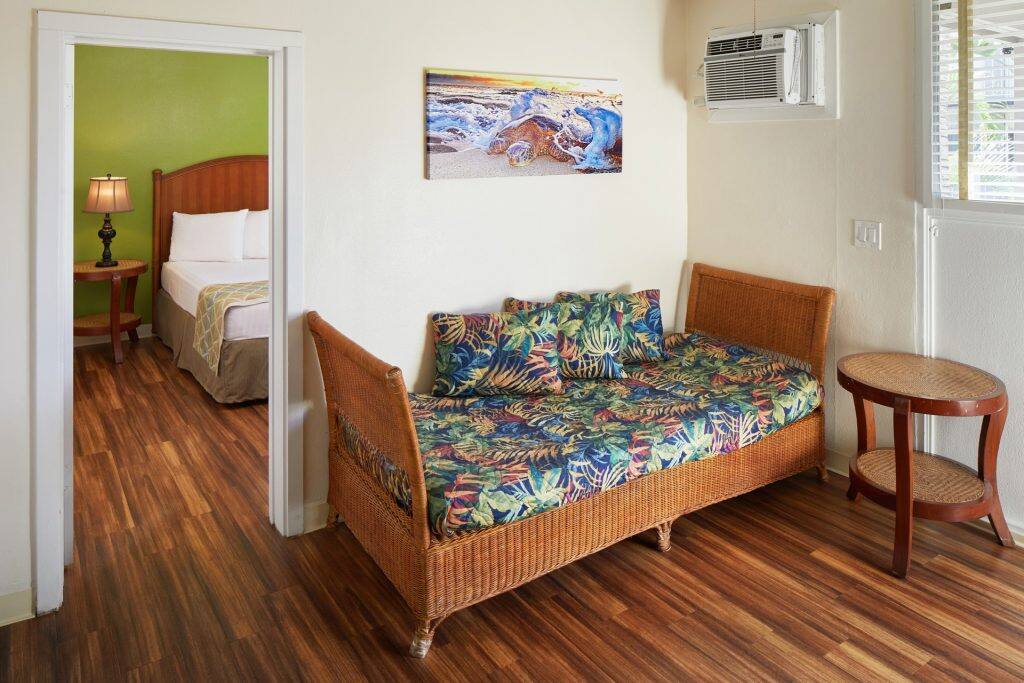 Day bed and TV in the living room