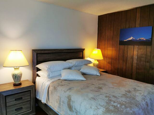 Tranquility Villa/10 Min away from SFO gallery image 5