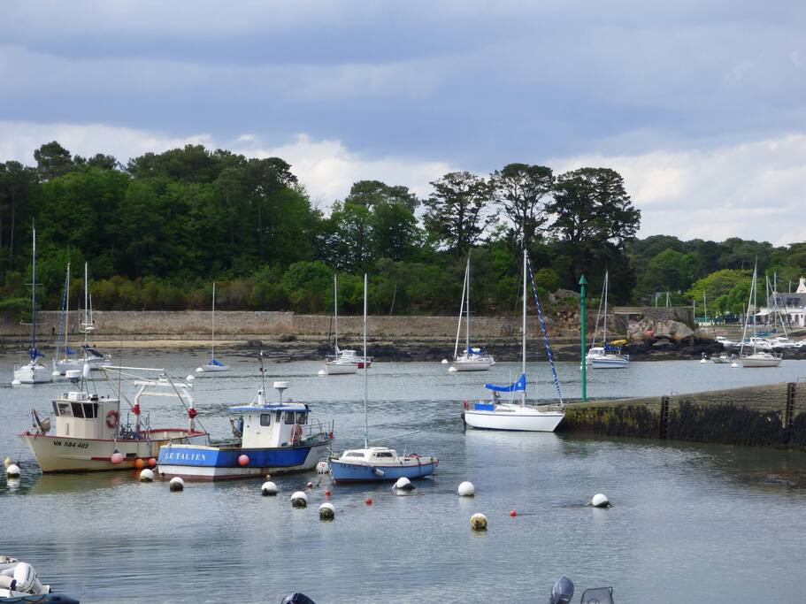 Port Anna