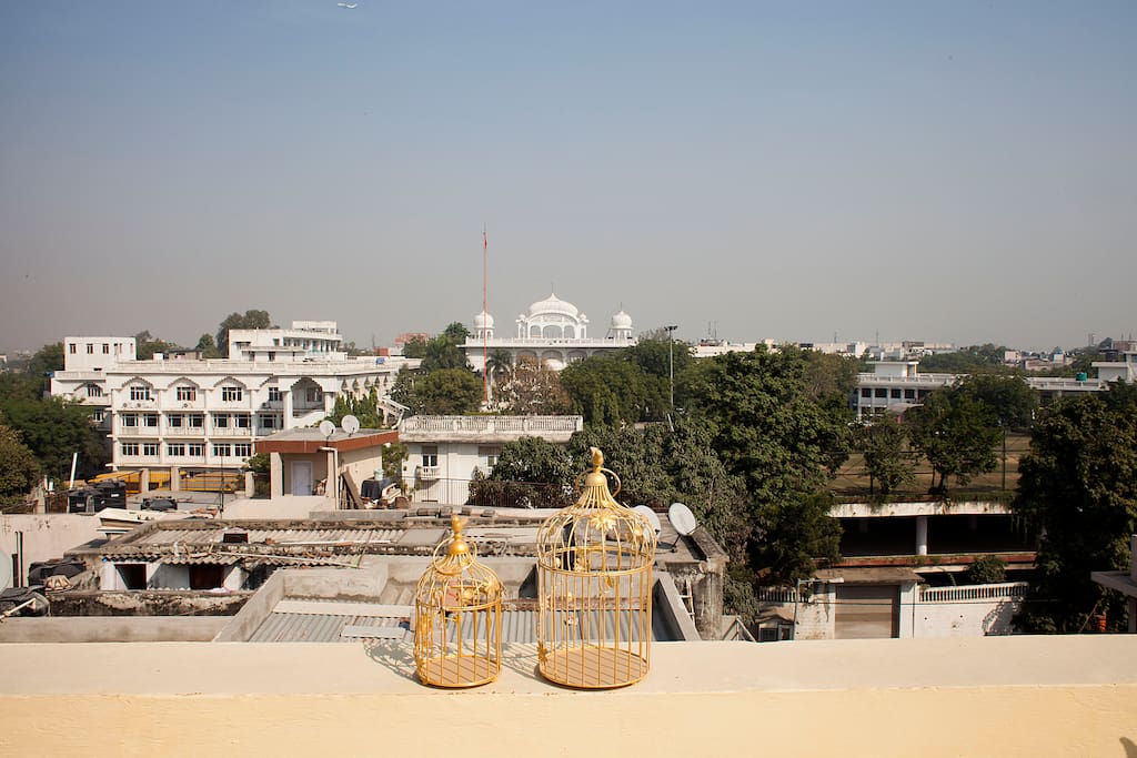Peaceful rooftop garden overlooking the temple