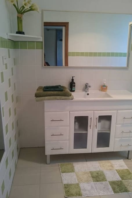 The bathroom basin, cupboard and drawers