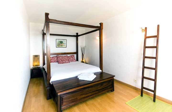 Chambre 1 au RDC -主卧，一楼