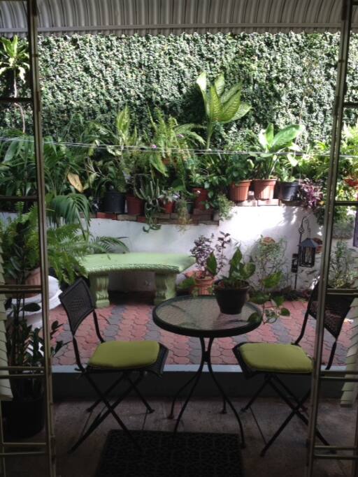 Back Patio