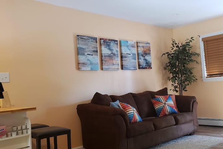 Cozy Renovated Contemporary Apartment - Port Jefferson, NY