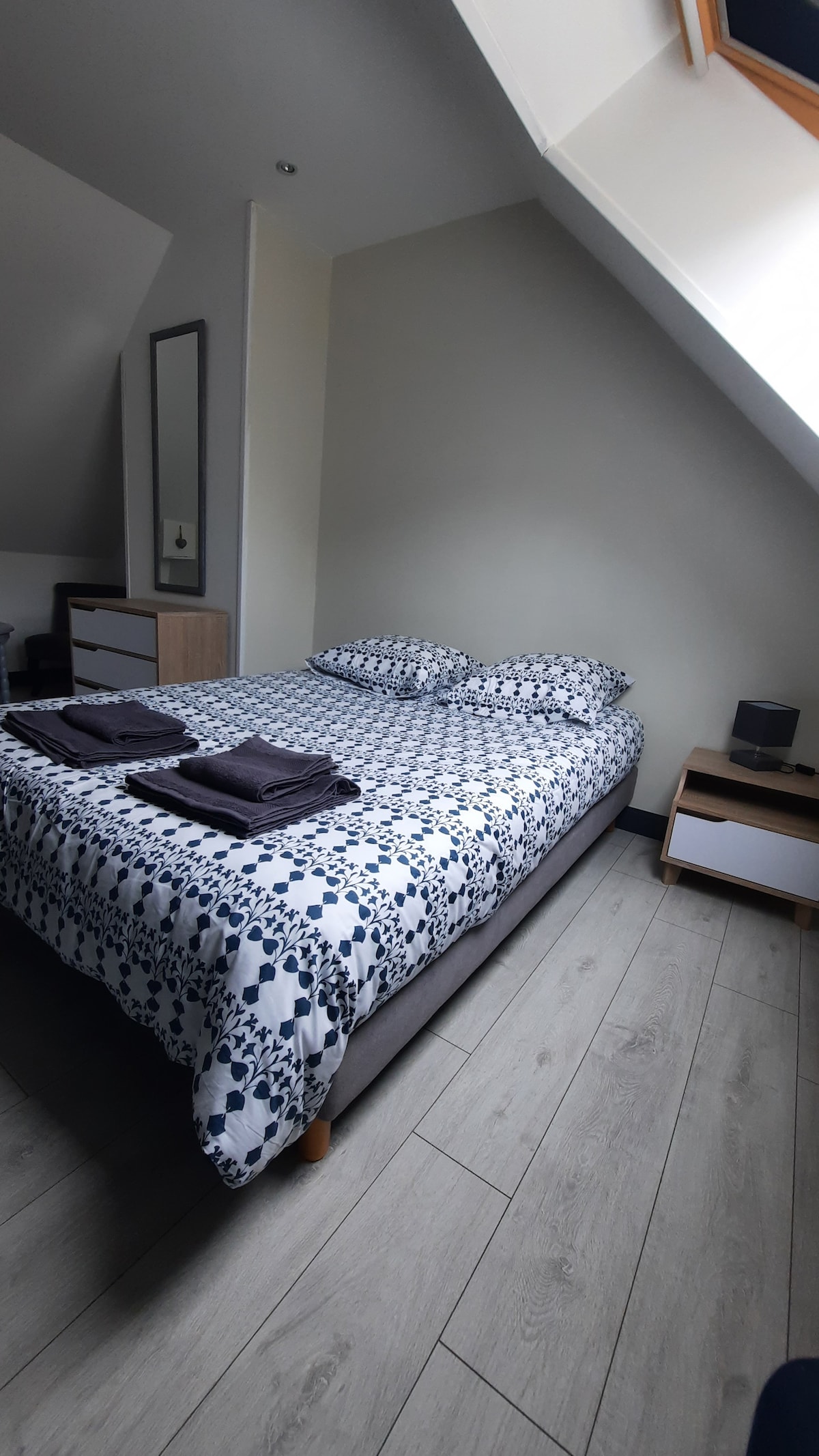 Habitación con cama doble 