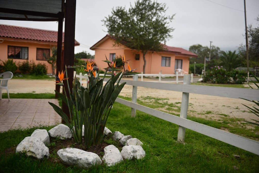 complejo de cabañas