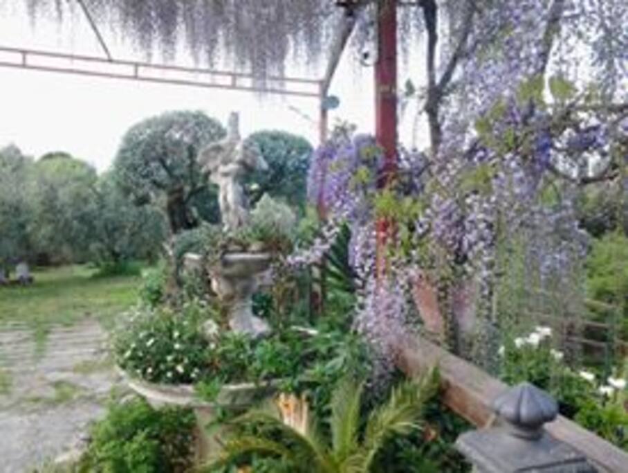 un angolo di paradiso