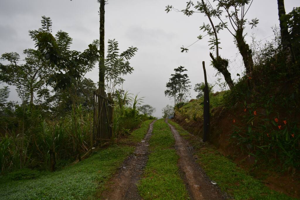 Entrada a la Finca Eco-amigable La Amistad