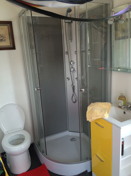 Salle de bain avec douche avec jets massant, toilette broyeur et lavabo.