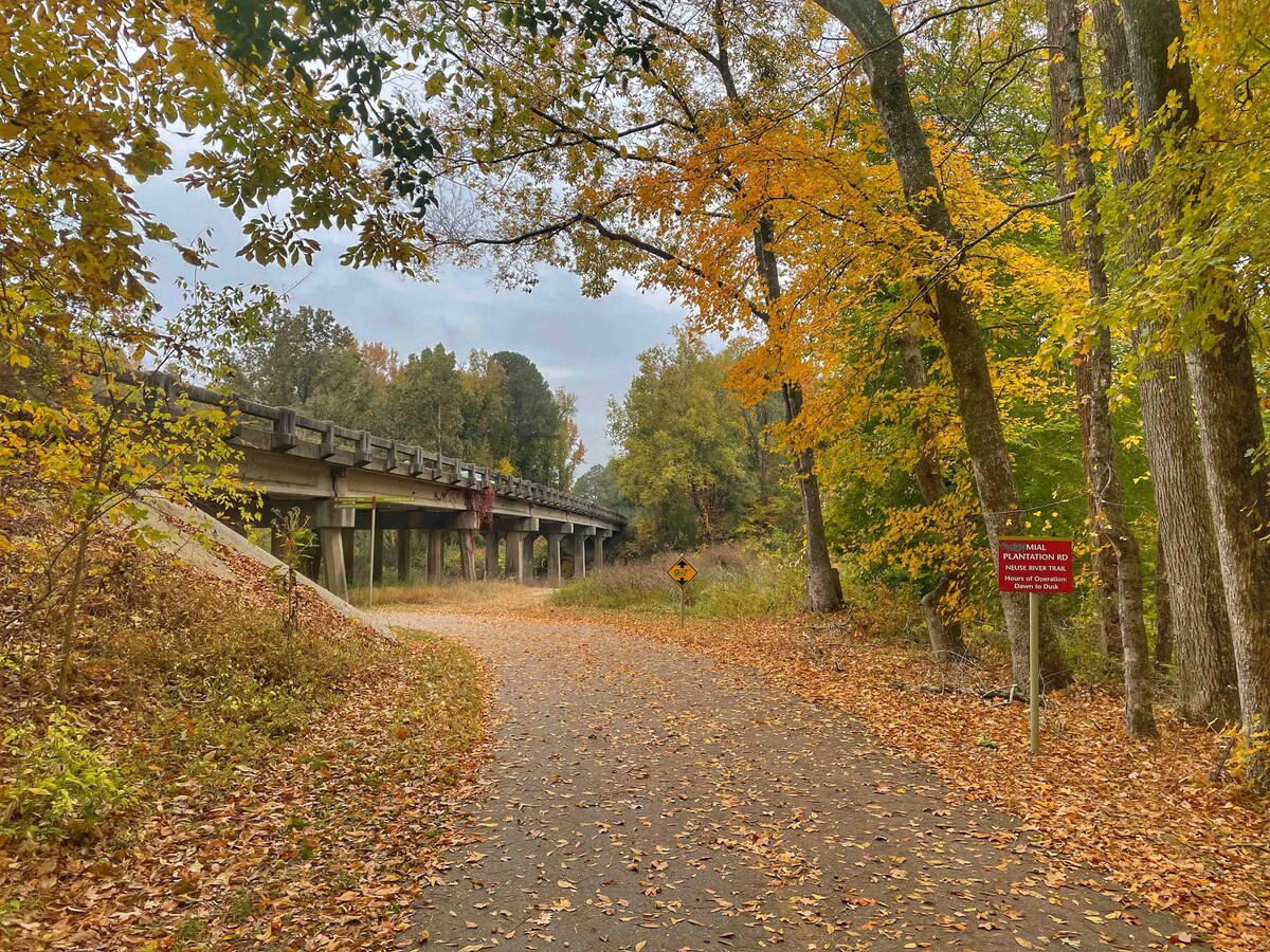 A winding path is framed by trees adorned with autumn leaves in warm shades of orange and yellow. A bridge is visible overhead, supported by concrete pillars. A caution sign is placed along the path, indicating nearby areas and enhancing the natural surroundings.