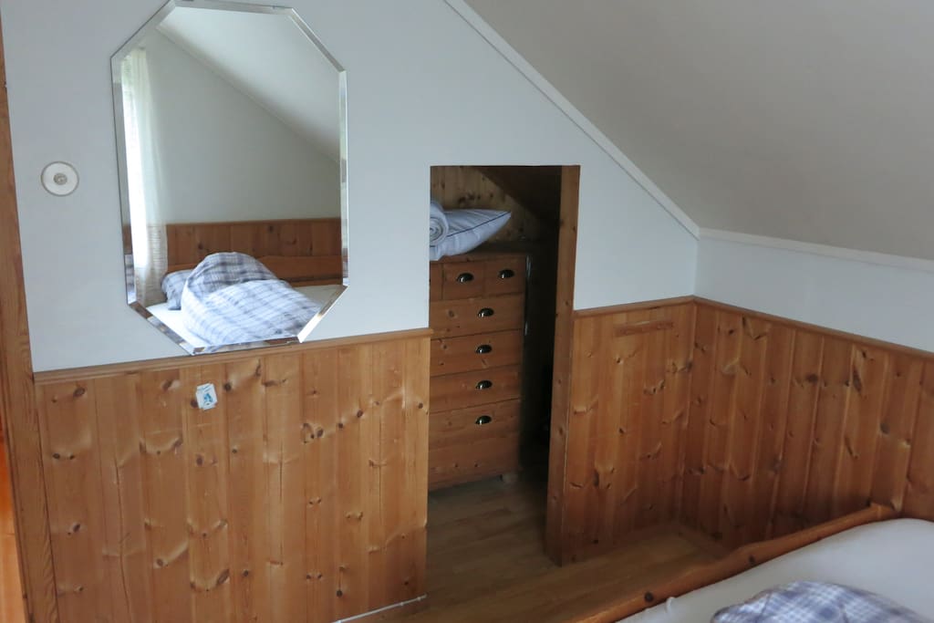 Mirror and a commode in the closet