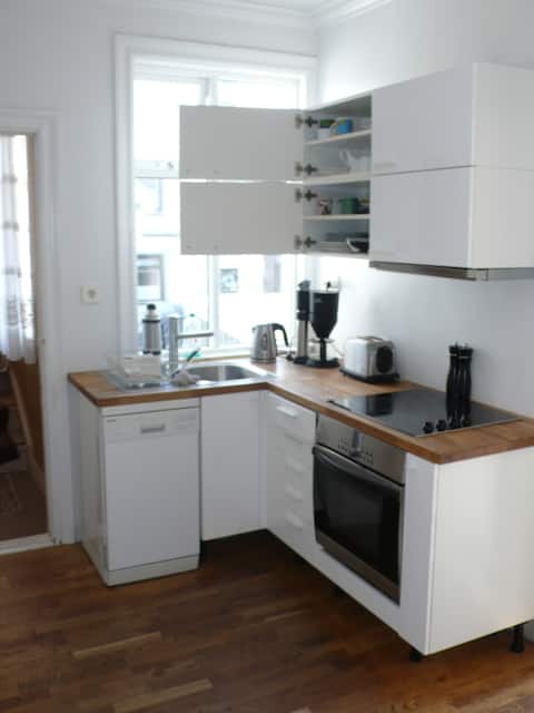 Cozy apartment center of  Reykjavik