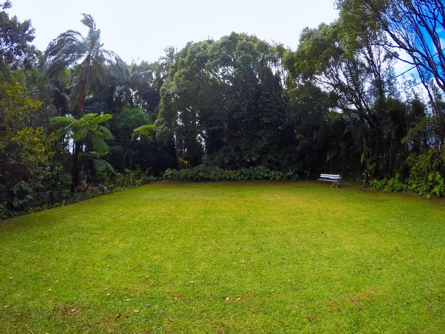 jardin