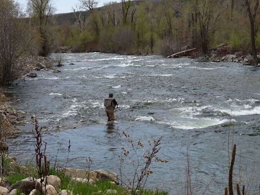 Fly Fishing on the Provo, a Blue Ribbon Stream - 10 minutes away!!!