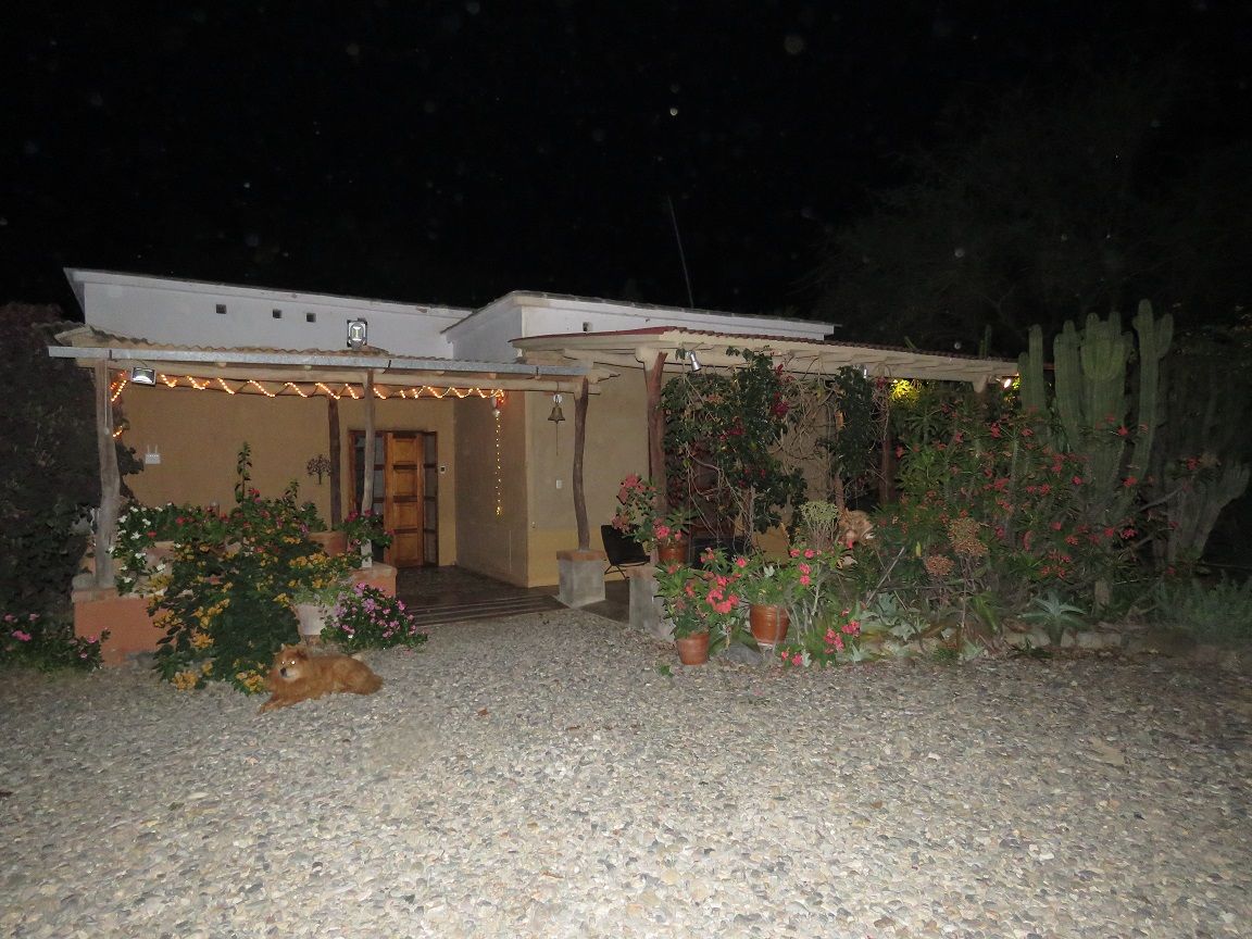 A modest home is surrounded by lush greenery and vibrant floral arrangements at night. Soft lighting is visible on the porch, enhancing the welcoming entrance. A gravel path leads to the door, with a pet resting comfortably nearby.