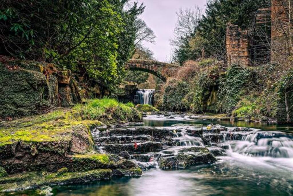 Location ! Jesmond Dene