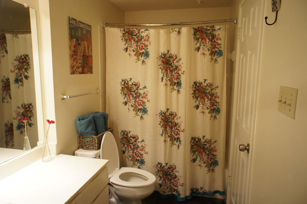 First bathroom, Access to the hallway and first bathroom