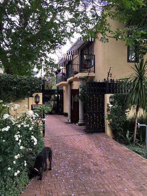 Driveway and view of property.