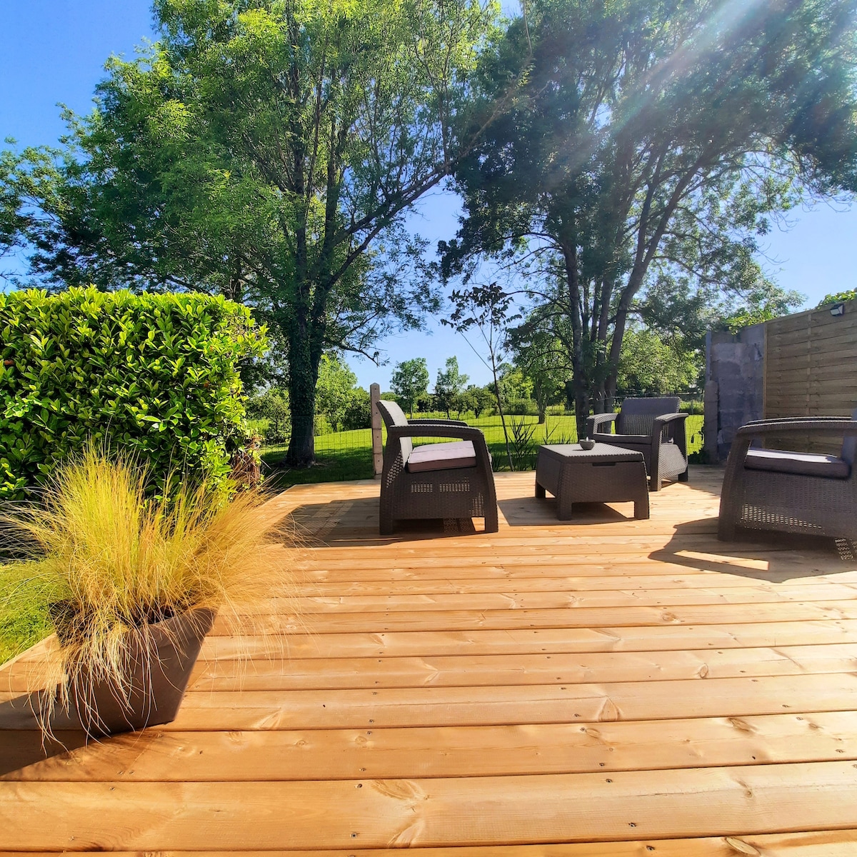 An outdoor terrace is shown, featuring a wooden deck with comfortable seating arrangements. Potted plants are present, and the green landscape beyond is visible. Tall trees provide shade in the background, creating a serene outdoor space for relaxation.