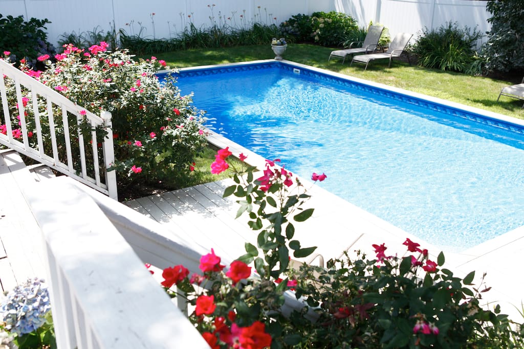 Pool view from back deck with wild roses