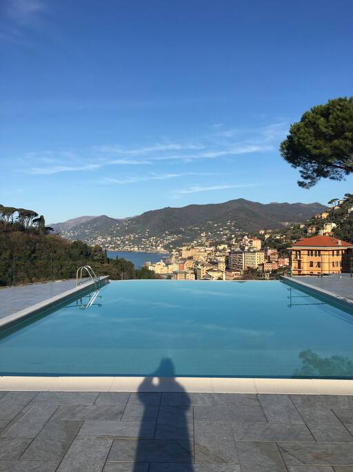 Swimmingpool in the garden with view on Camogli