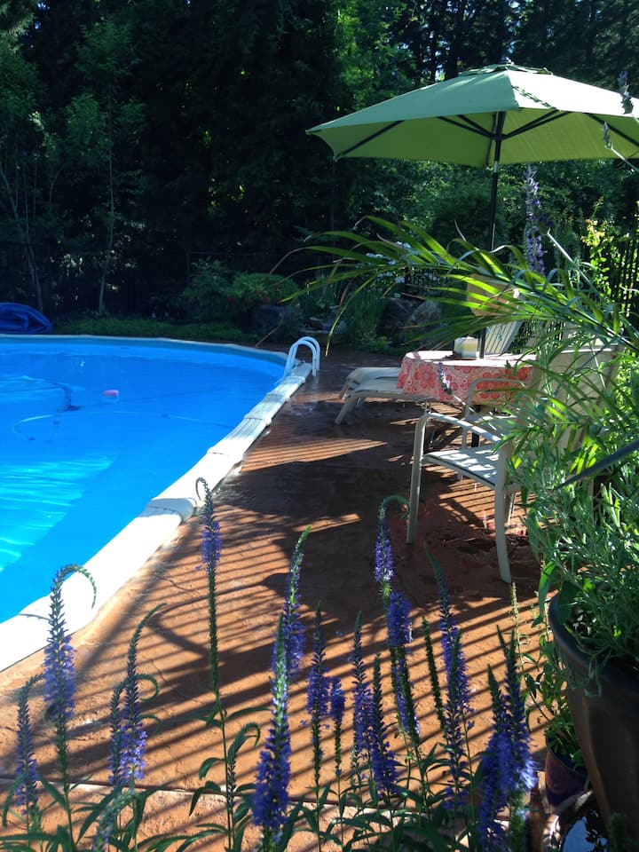 A Lovely, Expansive Nevada City Home to gather... Houses for Rent in