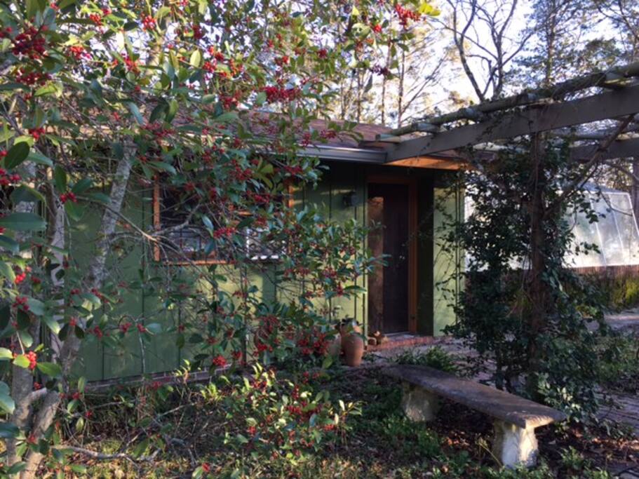 It's a peaceful little place nestled at the end of a muscadine grape arbor (which is loaded with grapes in the early fall).